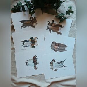 Vintage America Duck Art Prints - Brown, Green, Black